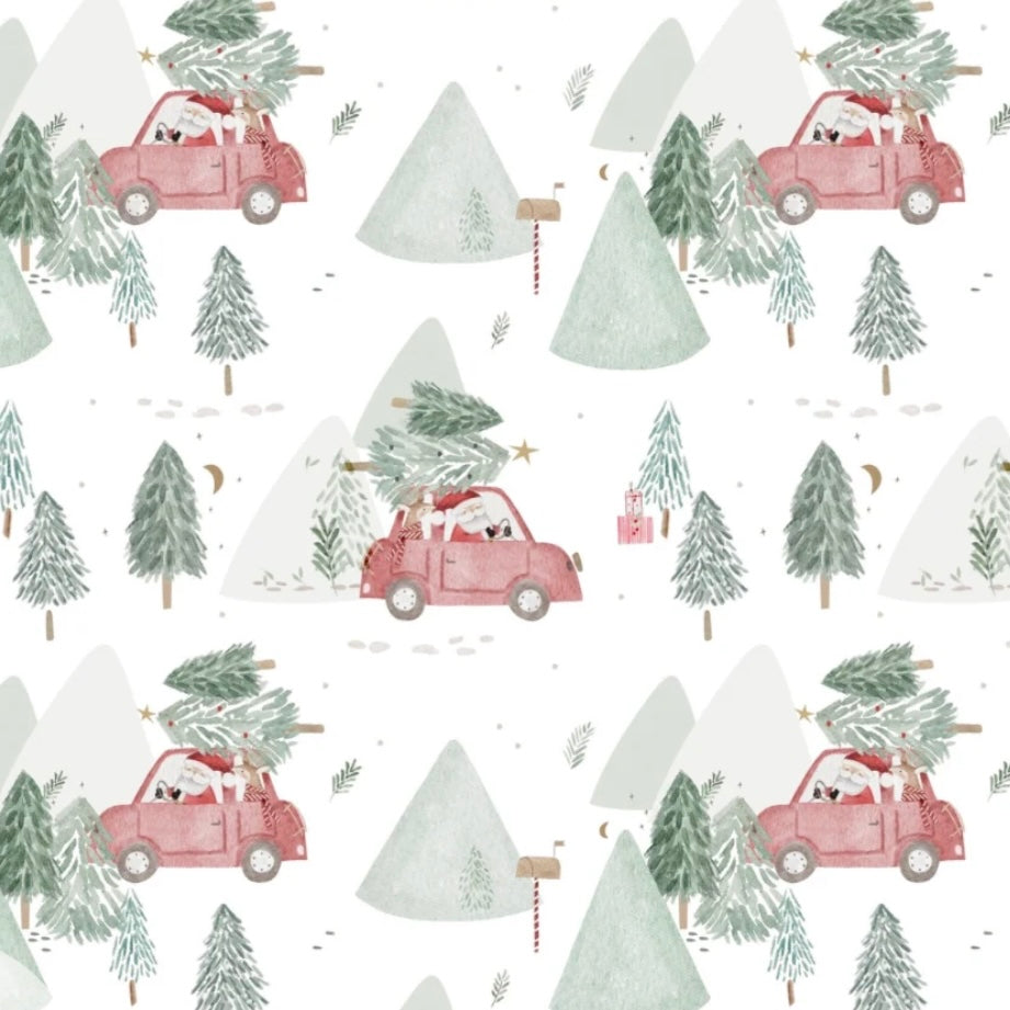 CHRISTMAS PRE ORDER